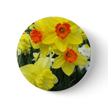 Spring Daffodils Button