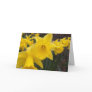 Spring daffodils greeting cards