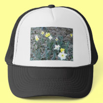 Spring Daffodils hats by eelkat Spring Daffodils hats