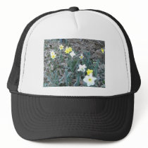 Spring Daffodils hats by eelkat Spring Daffodils hats