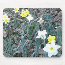Spring Daffodils mousepads