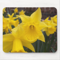 Spring Daffodils Mousepad