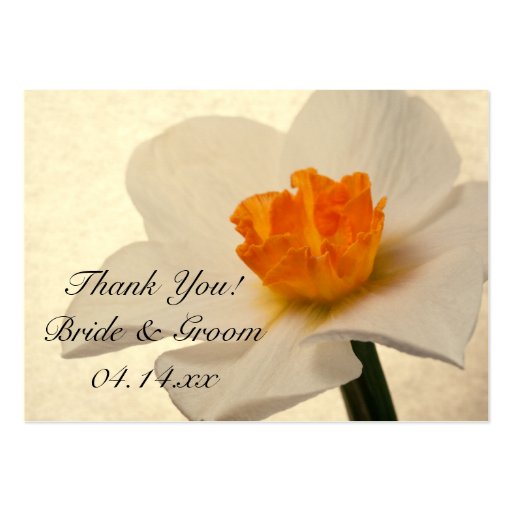 Spring Daffodils Wedding Favor Tags Business Cards (front side)