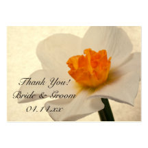 Spring Daffodils Wedding Favor Tags Business Cards
