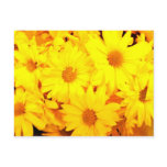 Spring Daisies Postcard