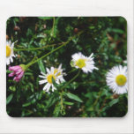 Spring Daisy Mousepad