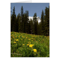 Spring Dandelions Flowers Near Lake Louise Banff N Greeting Cards
