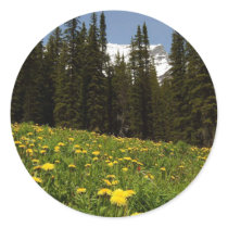 Spring Dandelions Flowers Near Lake Louise Banff N Stickers