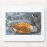 Spring Day Mousepads