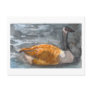 Spring Day Post Card