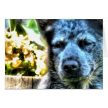 Spring Doggie cards
