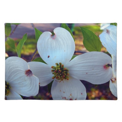 Spring Dogwood Blossom Placemat placemat