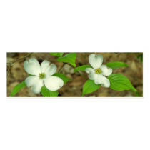 Spring Dogwood business cards by Renn_Fare Spring Dogwood business cards