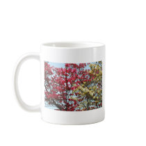 Spring Dogwood Flowers mugs