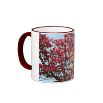 Spring Dogwood Flowers mugs