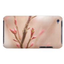 Spring dreams barely there iPod covers