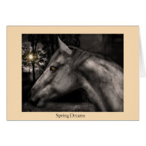 Spring Dreams cards