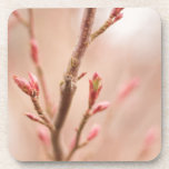 Spring dreams cork coasters cork coasters