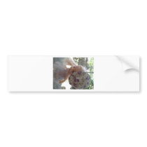Spring Dressed Doll Bumper Stickers