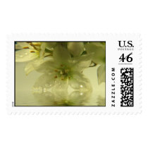Spring Enchantment postage by designcreatology Spring Enchantment postage