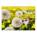 Spring Fairy cards