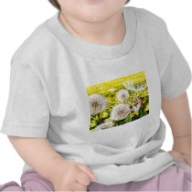 Spring Fairy Shirts