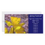 festival, spring festival, daffodil, daffodils,