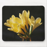 Spring Fever Mousepads