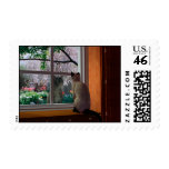 Spring Fever Stamps