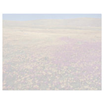 Spring fields of blooming wildflowers  flowers customized letterhead