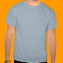 Spring Fling  t-shirts
