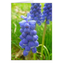 spring floral card cards