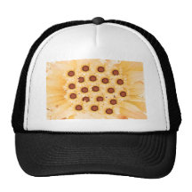 Spring Floral Collection -  Best Wishes to All Hats