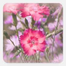 Spring Floral Square Stickers