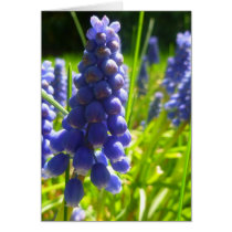 Spring flower card cards