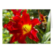 Spring Flower Card-red