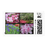 Spring Flower Collage Postage Stamp Spring Flower Collage Postage Stamp