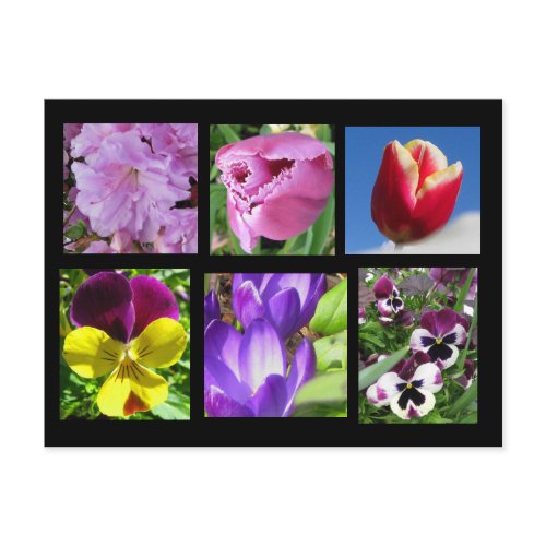 Spring Flower Collection Postcard postcard