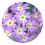 Spring Flower Envelope Seals stickers