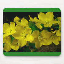 Spring Flower -Japanese Rose Mouse Pad