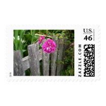 Spring Flower postage