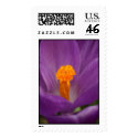 Spring Flower postage