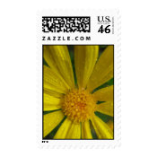 spring flower stamp