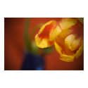 Spring Flower posters by vladstudio Spring Flower posters