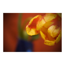 Spring Flower posters by vladstudio Spring Flower posters