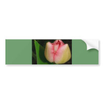 Spring Flower Tulip Bumper Sticker