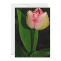 Spring Flower Tulip Custom Invite