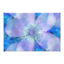 Spring Flower Wrapped Canvas Canvas Print