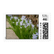 Spring Flowers 1 Stamps