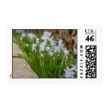 Spring Flowers 1 Stamps